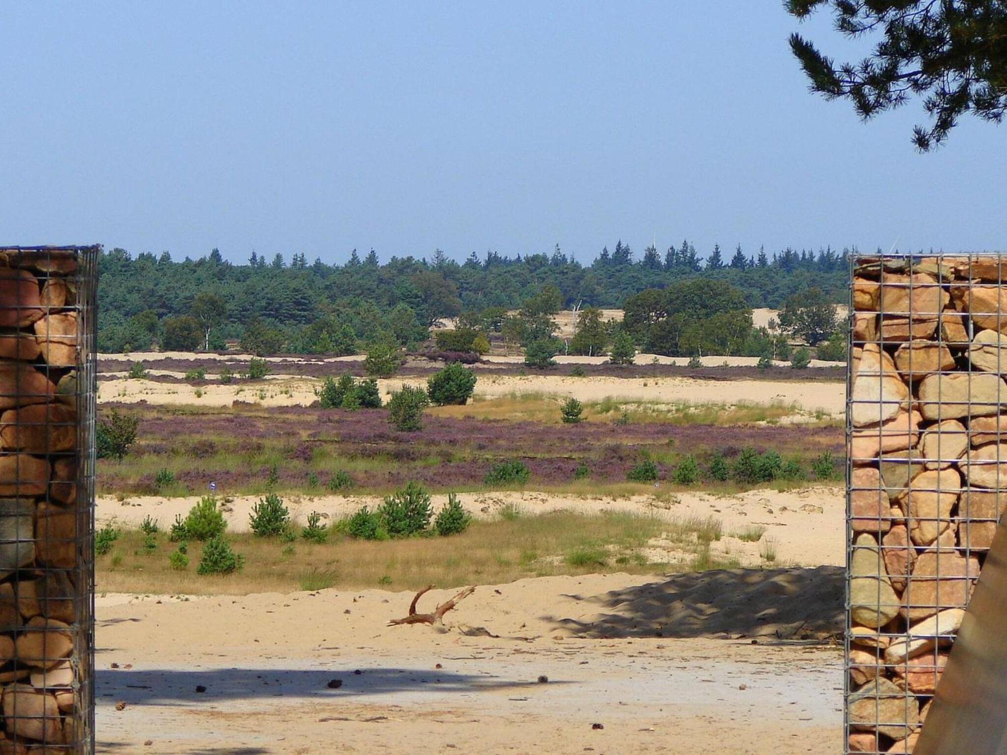 Chalet Near The Loonse And Drunense Duinen Udenhout Екстериор снимка