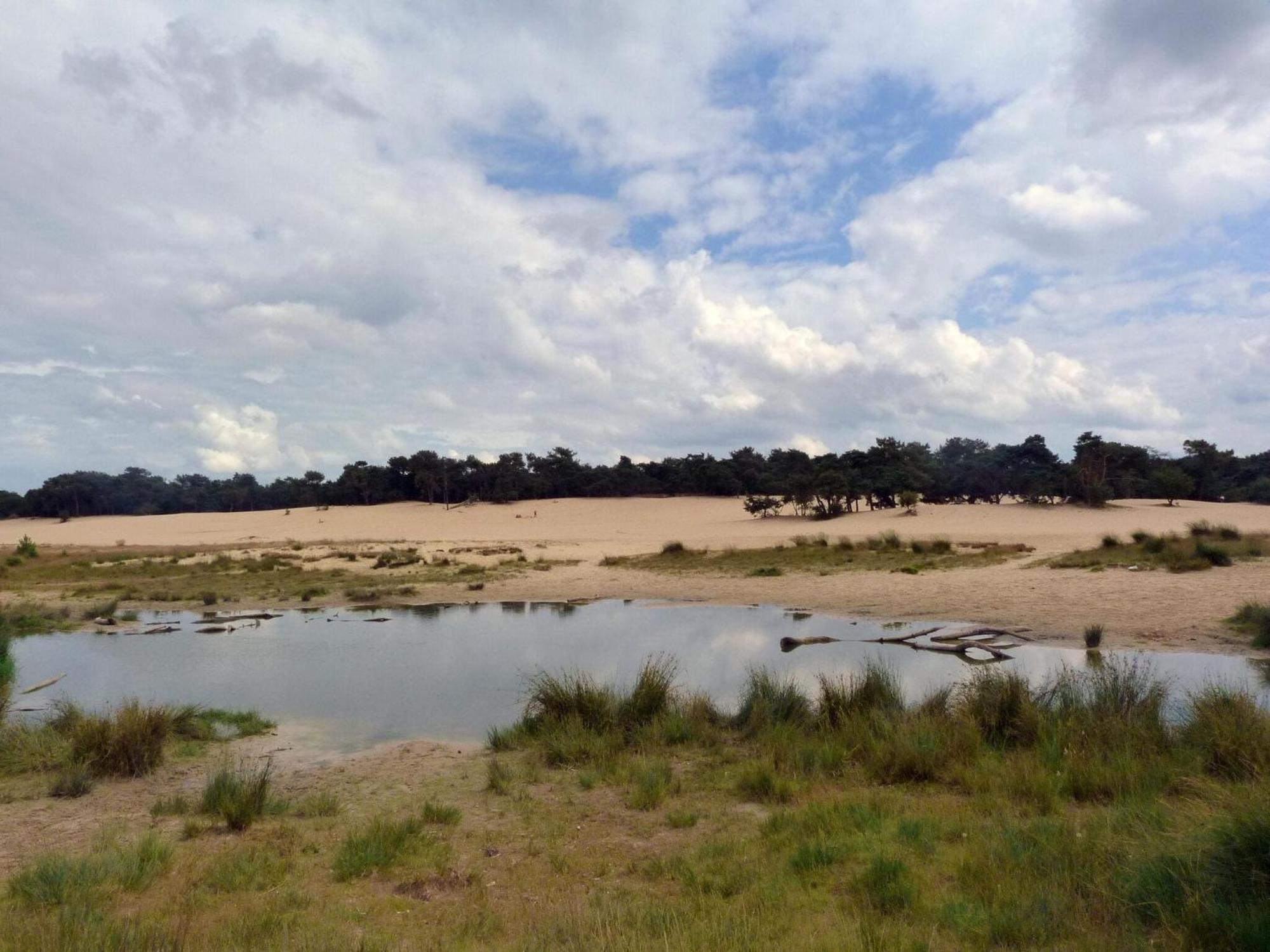 Chalet Near The Loonse And Drunense Duinen Udenhout Екстериор снимка